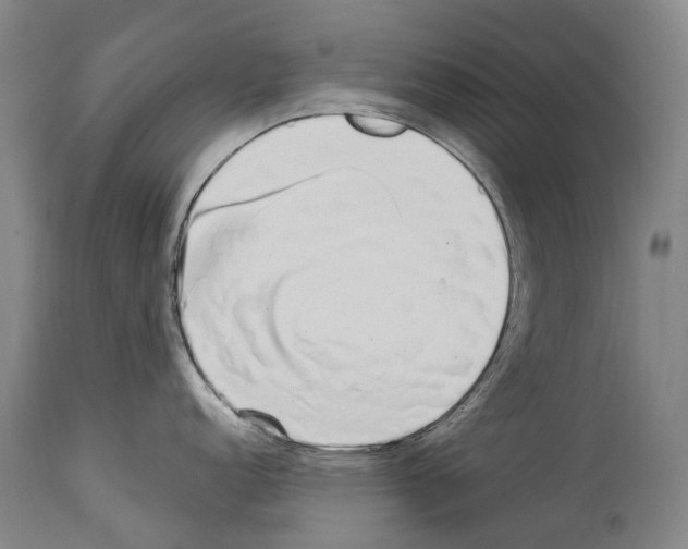 X0000114031152200911131243