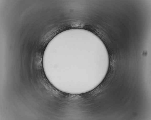 X0000114031154200911131243