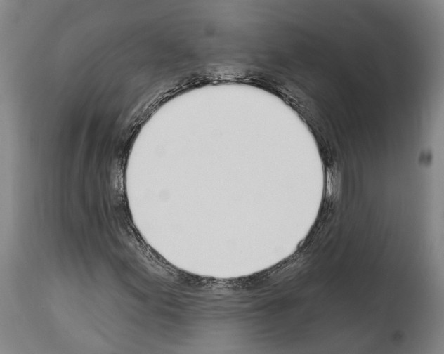 X0000114031155200911131243