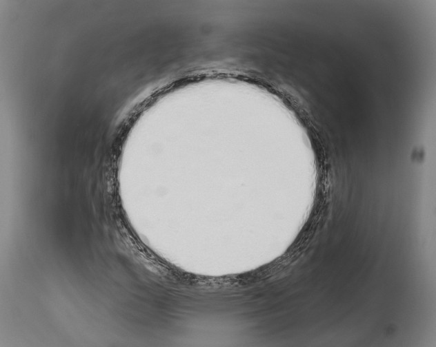 X0000114031159200911131243