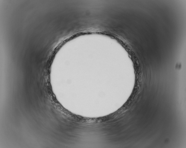 X0000114031160200911131243