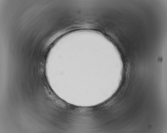 X0000114031163200911131243