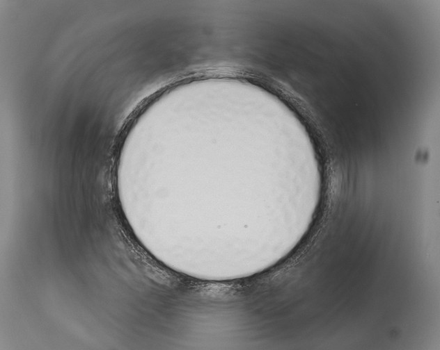 X0000114031166200911131242