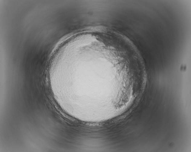 X0000114031168200911131242