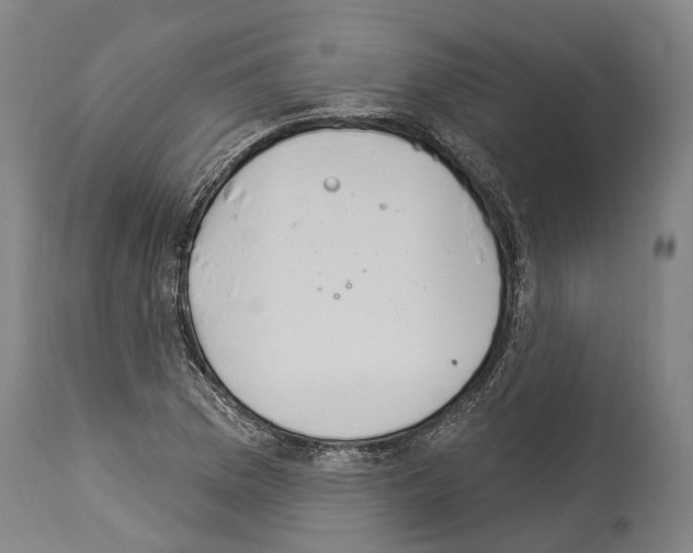 X0000114031169200911131242