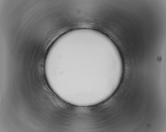 X0000114031170200911131242