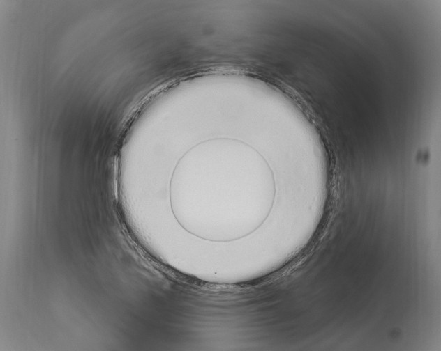 X0000114031171200911131242