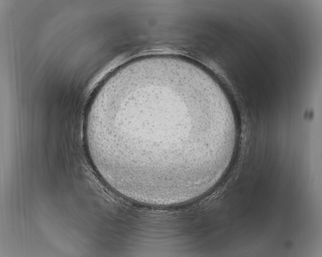 X0000114031173200911131242