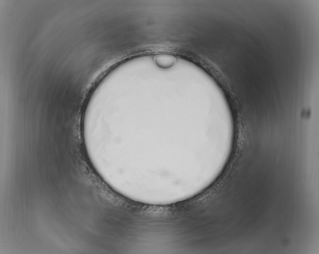 X0000114031174200911131242