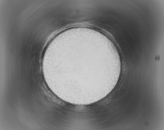 X0000114031176200911131242