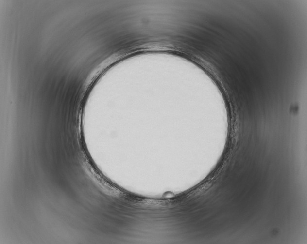 X0000114031179200911131242