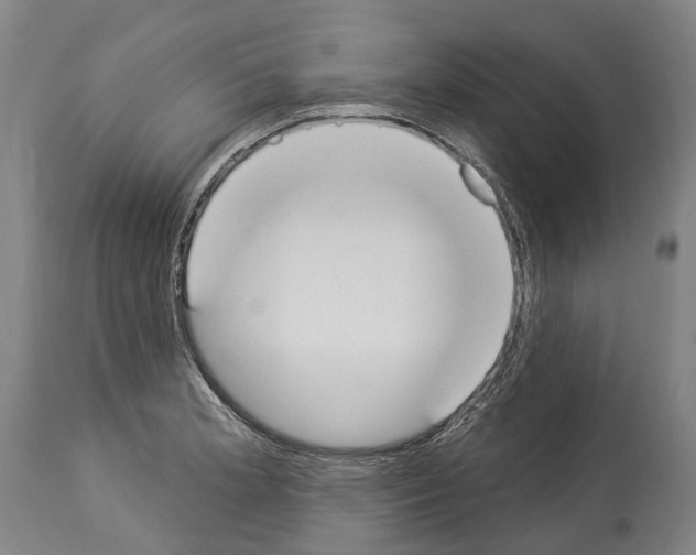 X0000114031181200911131242