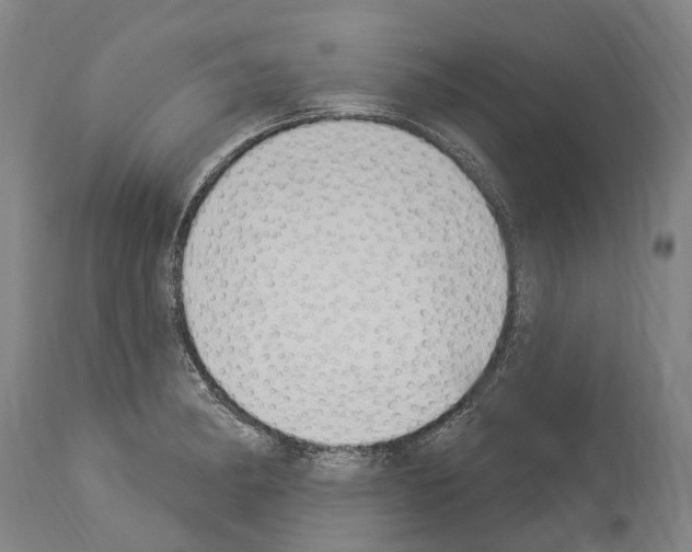 X0000114031182200911131242