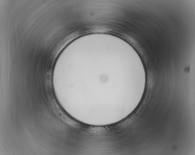 X0000114031186200911131242