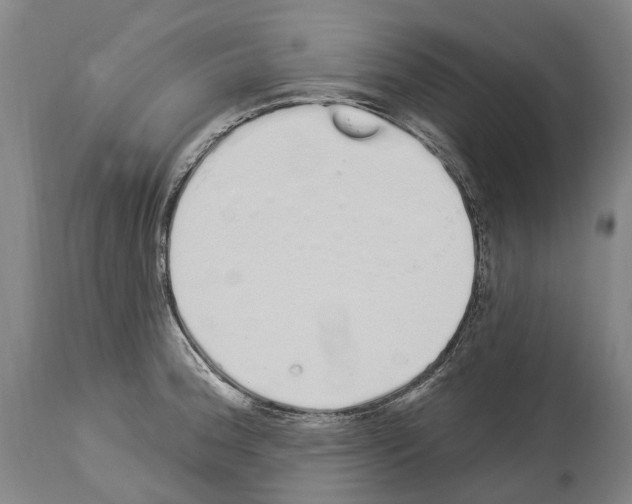 X0000114031188200911131242