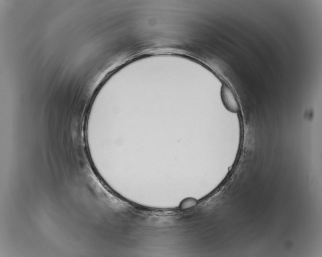 X0000114031189200911131242