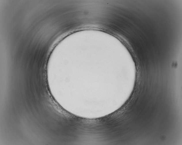 X0000114031192200911131242