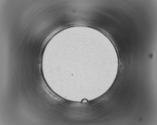 X0000114031195200911131242