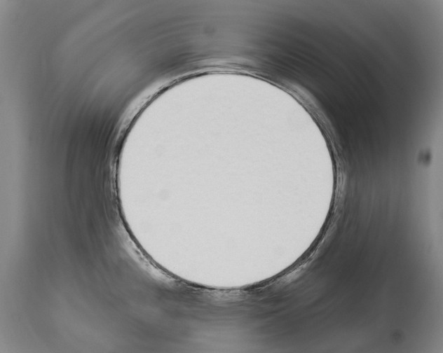 X0000114031196200911131242