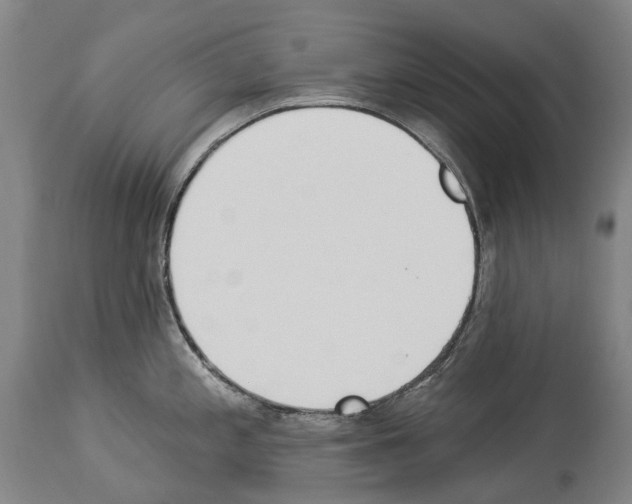 X0000114031197200911131242