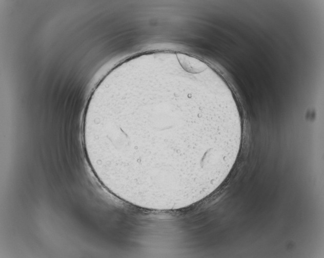 X0000114031199200911131242