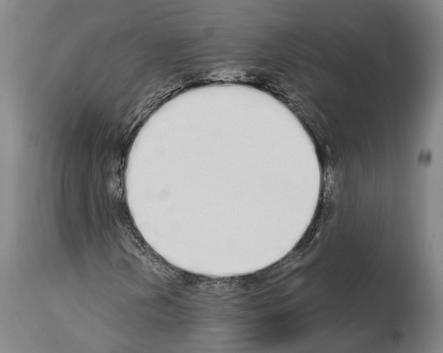 X0000114031202200911131241