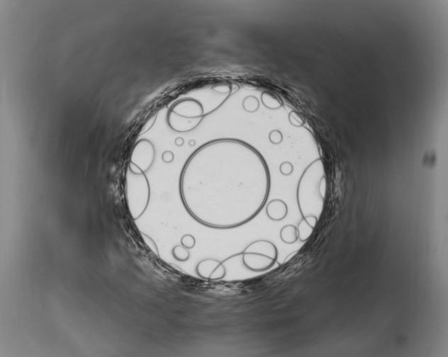 X0000114031205200911131241