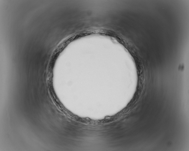 X0000114031206200911131241