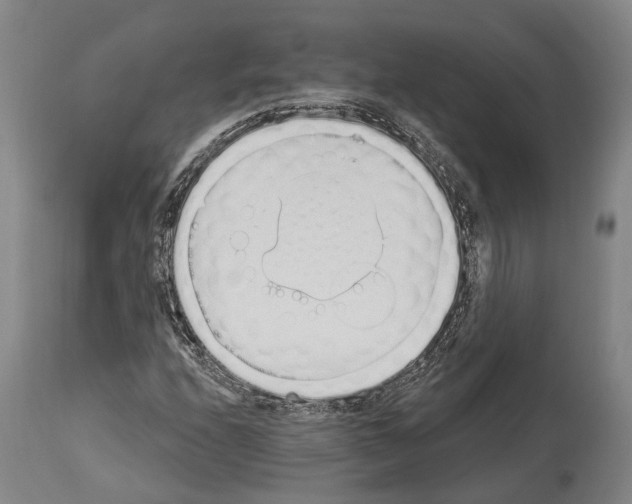 X0000114031208200911131241