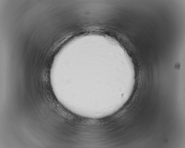 X0000114031209200911131241