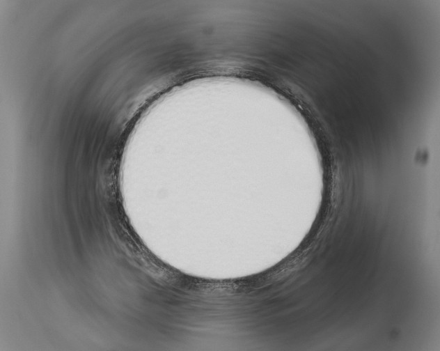 X0000114031210200911131241