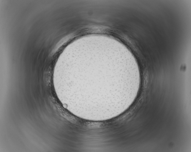 X0000114031211200911131241