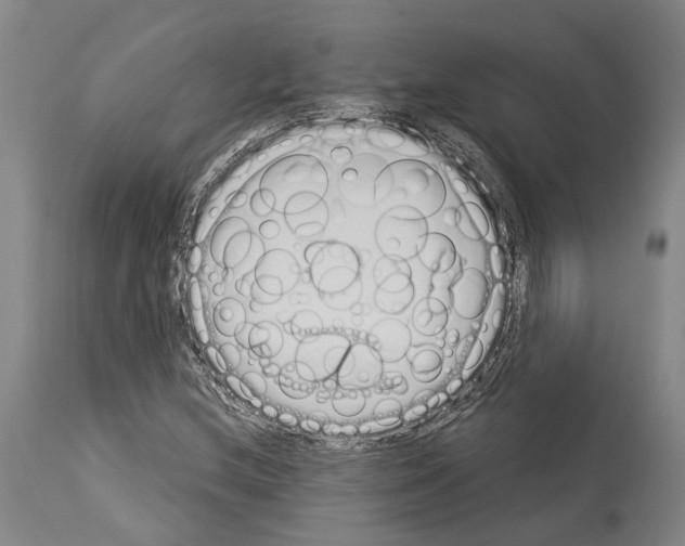 X0000114031212200911131241