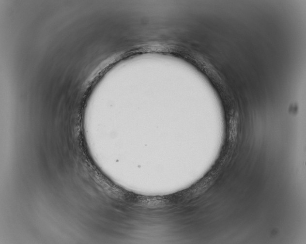 X0000114031213200911131241