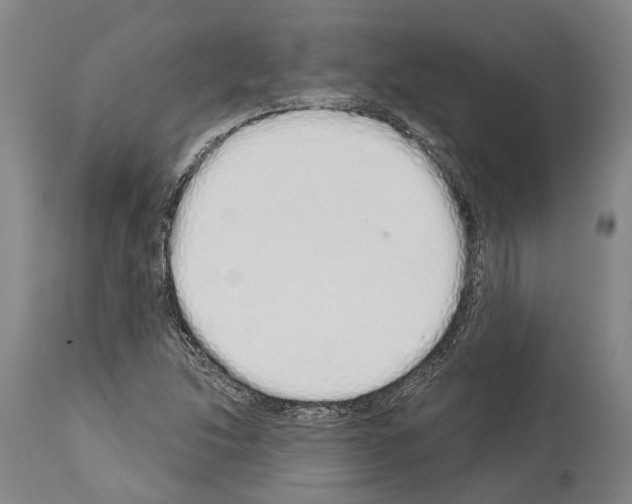 X0000114031214200911131242