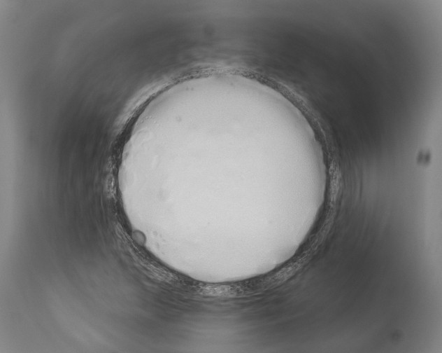 X0000114031215200911131242