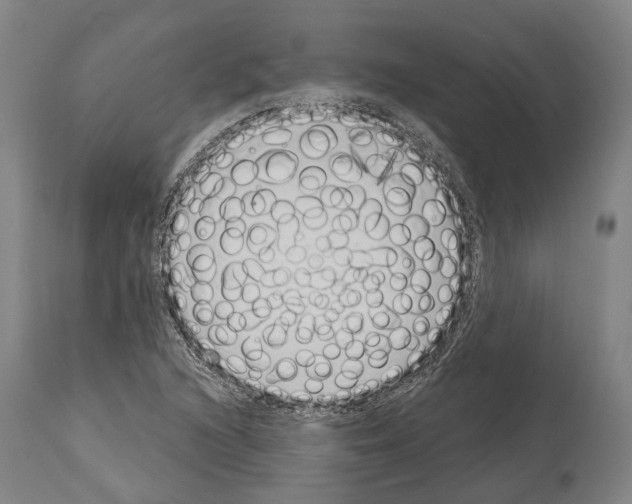 X0000114031216200911131242