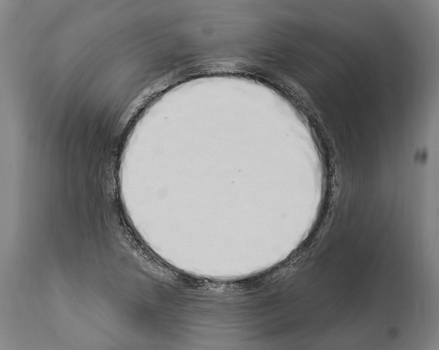 X0000114031218200911131242