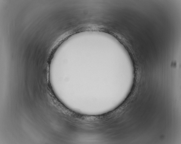 X0000114031219200911131242