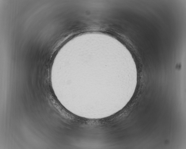 X0000114031220200911131242