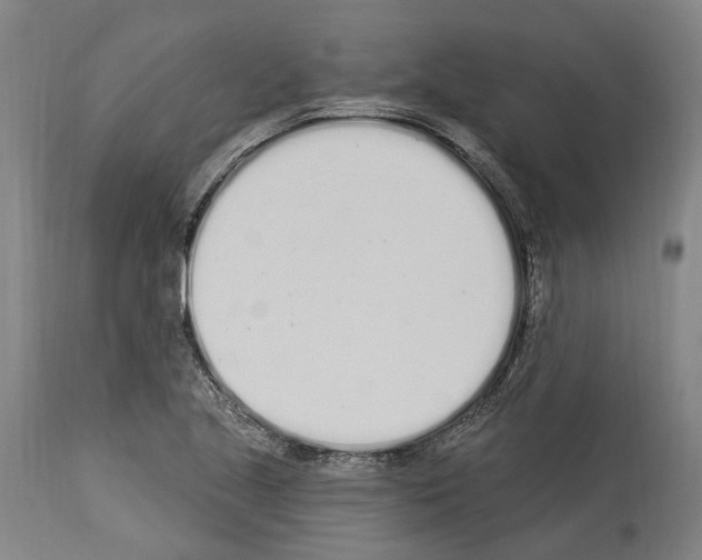 X0000114031221200911131242