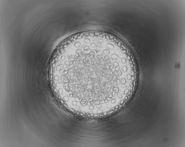 X0000114031222200911131242