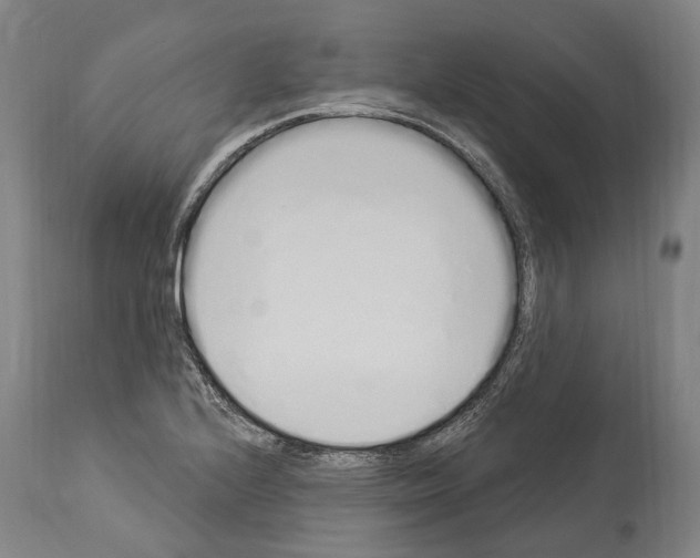 X0000114031224200911131242