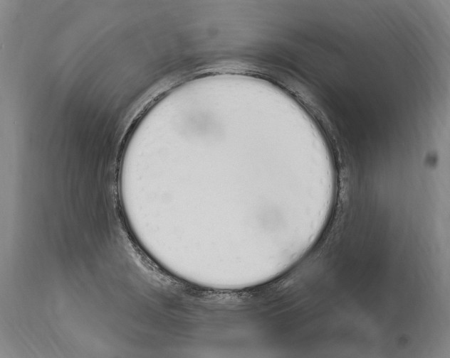 X0000114031229200911131242