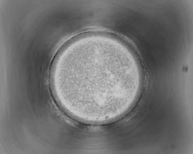 X0000114031231200911131242