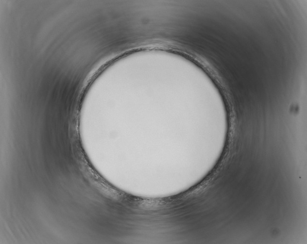 X0000114031232200911131242