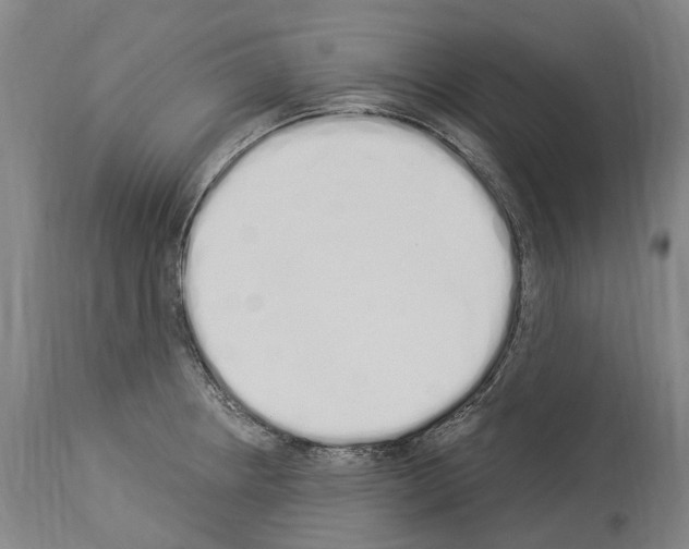 X0000114031234200911131242