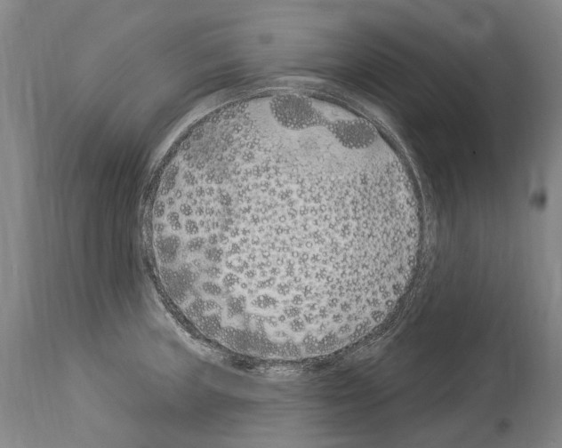 X0000114031235200911131242