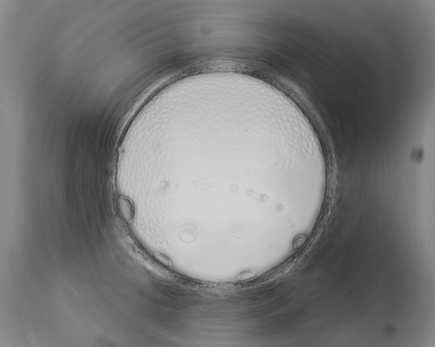 X0000114031236200911131242