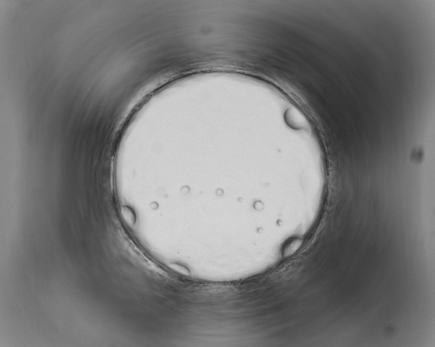 X0000114031238200911131242